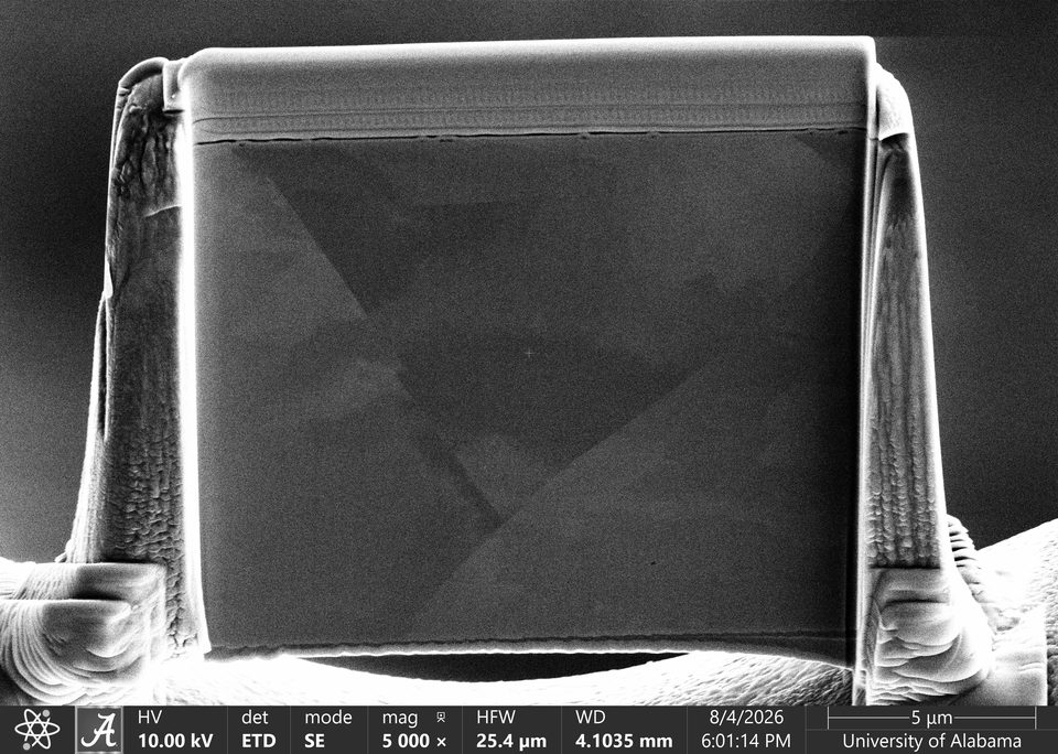 SEM image at 10 kV of a thin copper lamella showing grain and twin contrast across the face